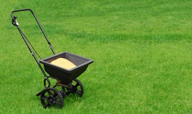 For a healthy lawn in the spring, fertilize in the fall.