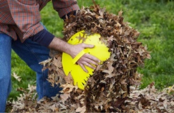 If you have to bag your leaves, get some leaf mitts!